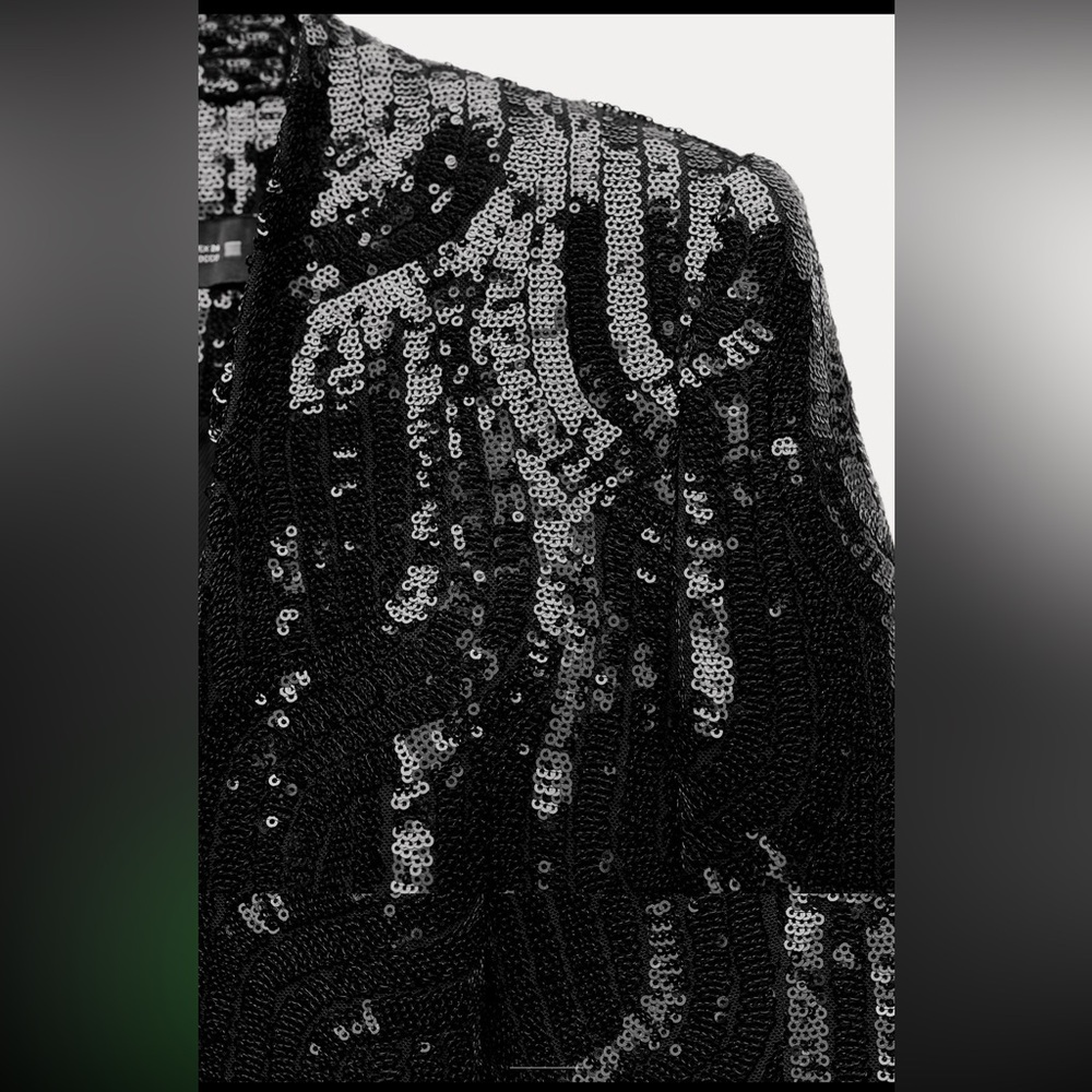 Zara sequins lapeles blazer - Picture 6 of 7